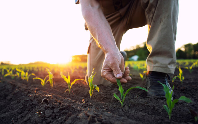 Increase Farm Profitability and ROI