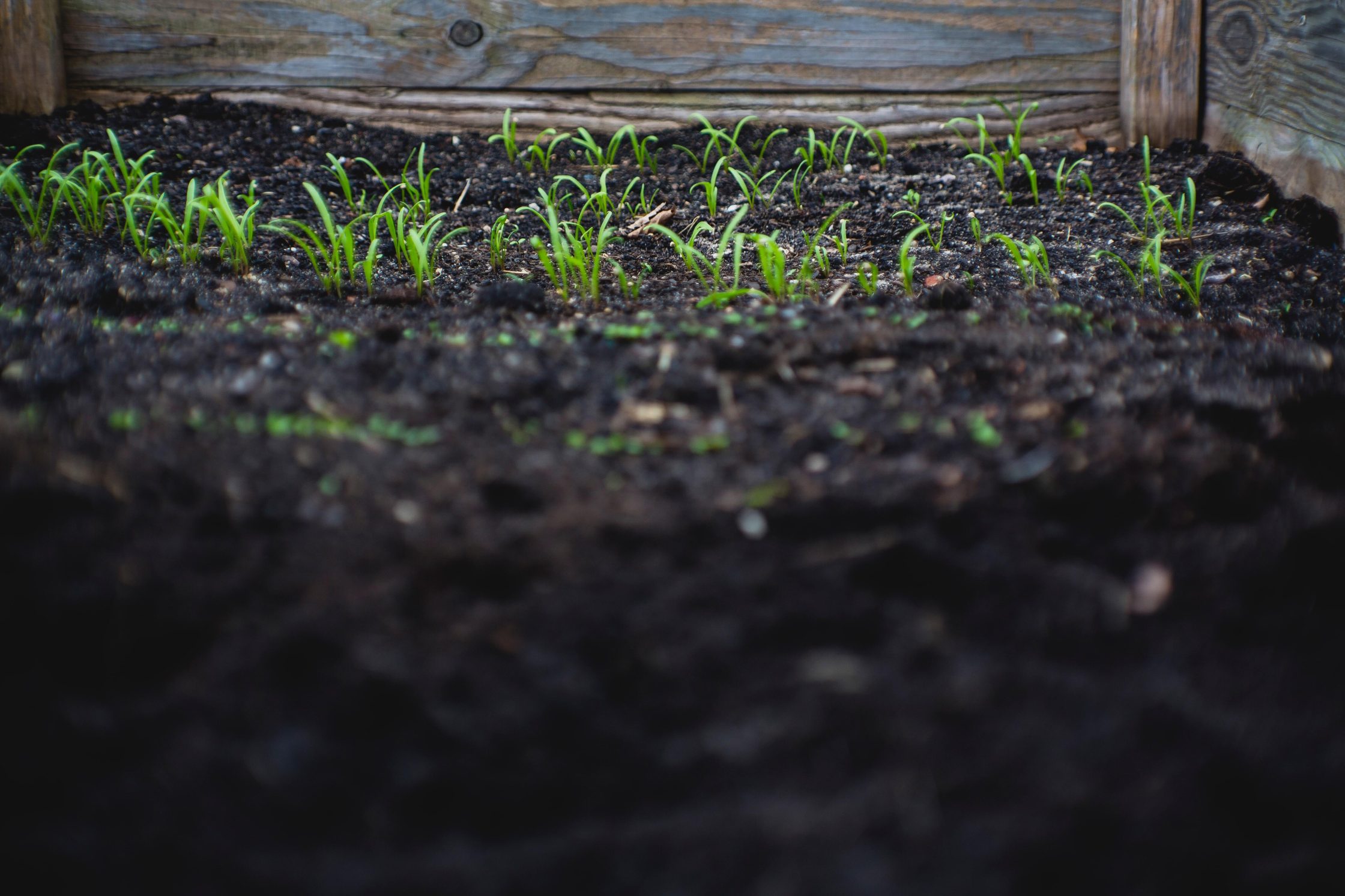 Markus spiske 71u Uj It3c Is unsplash